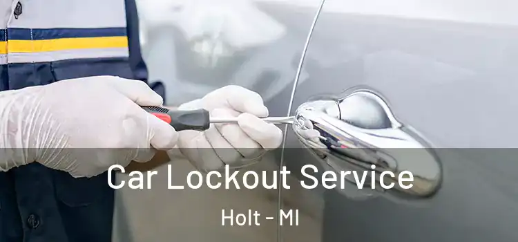  Car Lockout Service Holt - MI