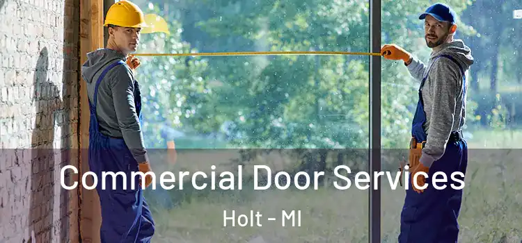 Commercial Door Services Holt - MI