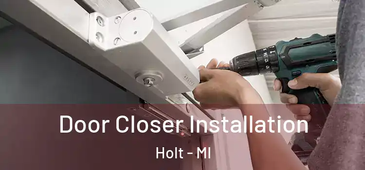  Door Closer Installation Holt - MI