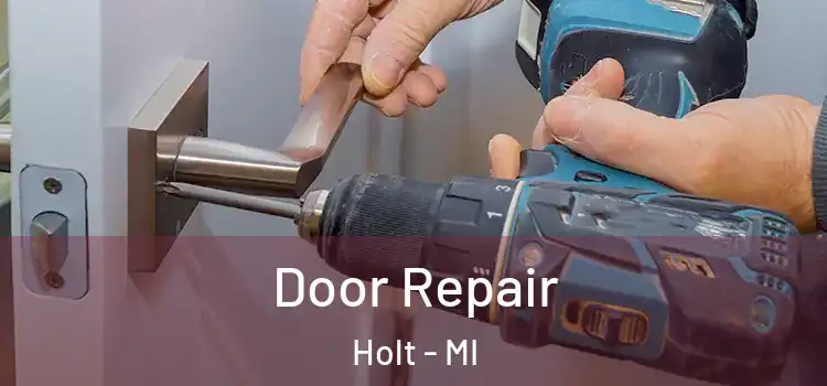 Door Repair Holt - MI