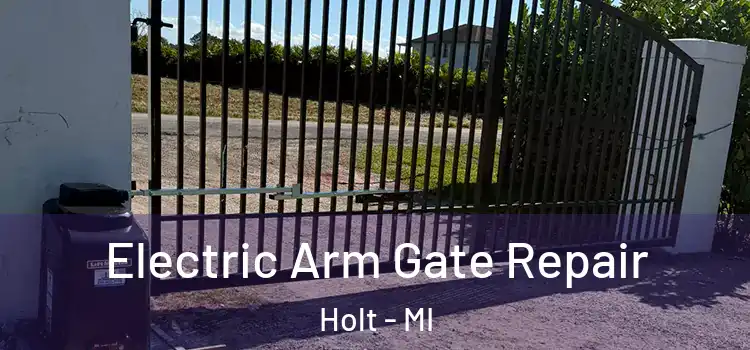  Electric Arm Gate Repair Holt - MI