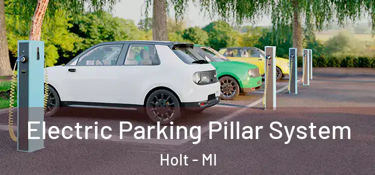  Electric Parking Pillar System Holt - MI