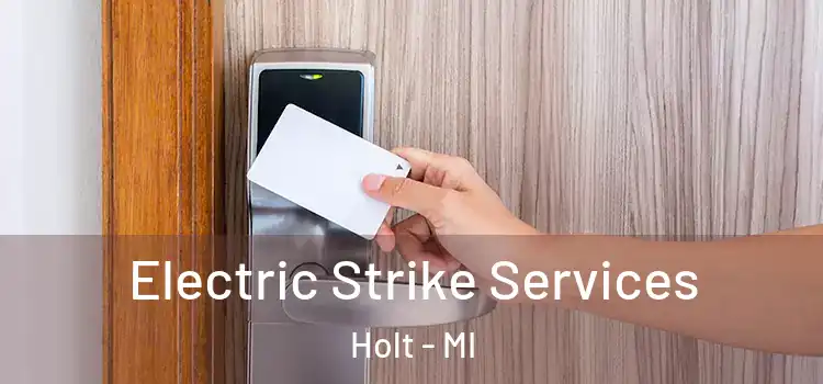 Electric Strike Services Holt - MI