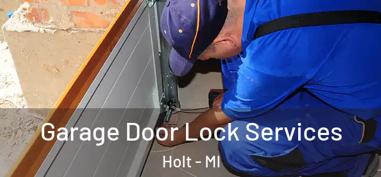 Garage Door Lock Services Holt - MI