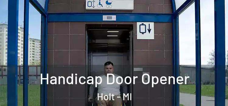  Handicap Door Opener Holt - MI