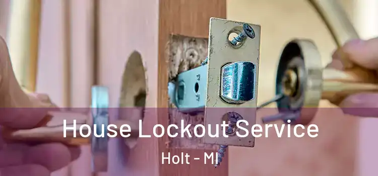  House Lockout Service Holt - MI