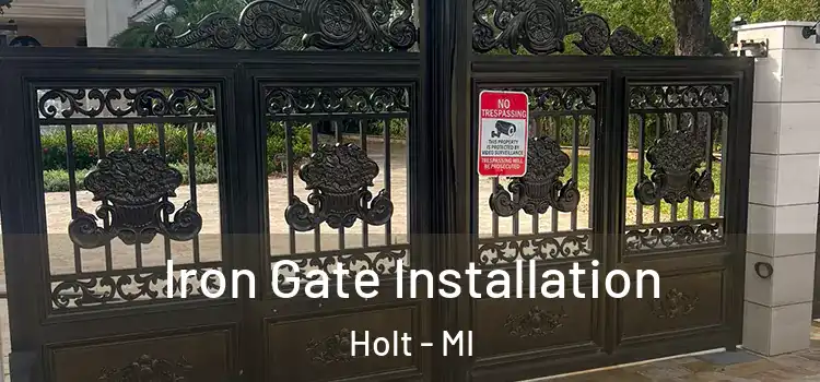 Iron Gate Installation Holt - MI