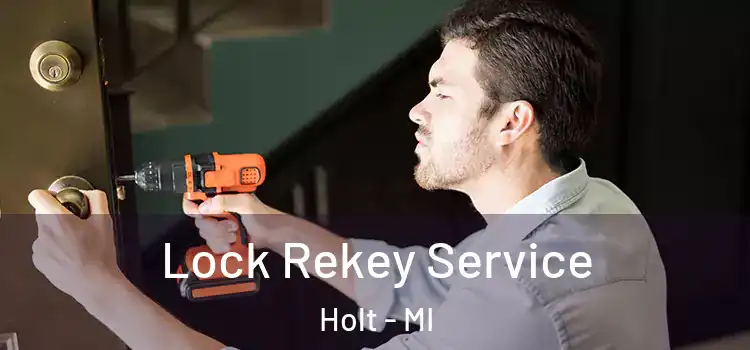 Lock Rekey Service Holt - MI