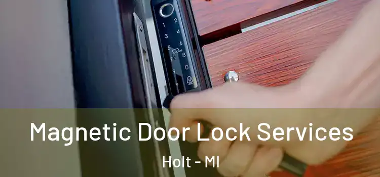 Magnetic Door Lock Services Holt - MI