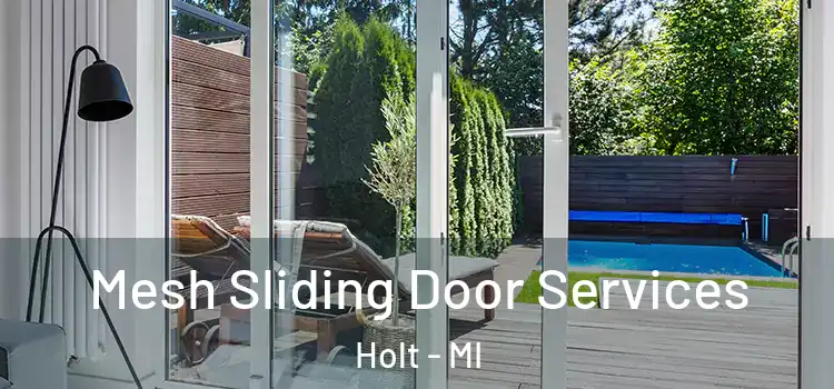 Mesh Sliding Door Services Holt - MI